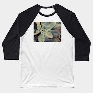 Succulent 2 Baseball T-Shirt